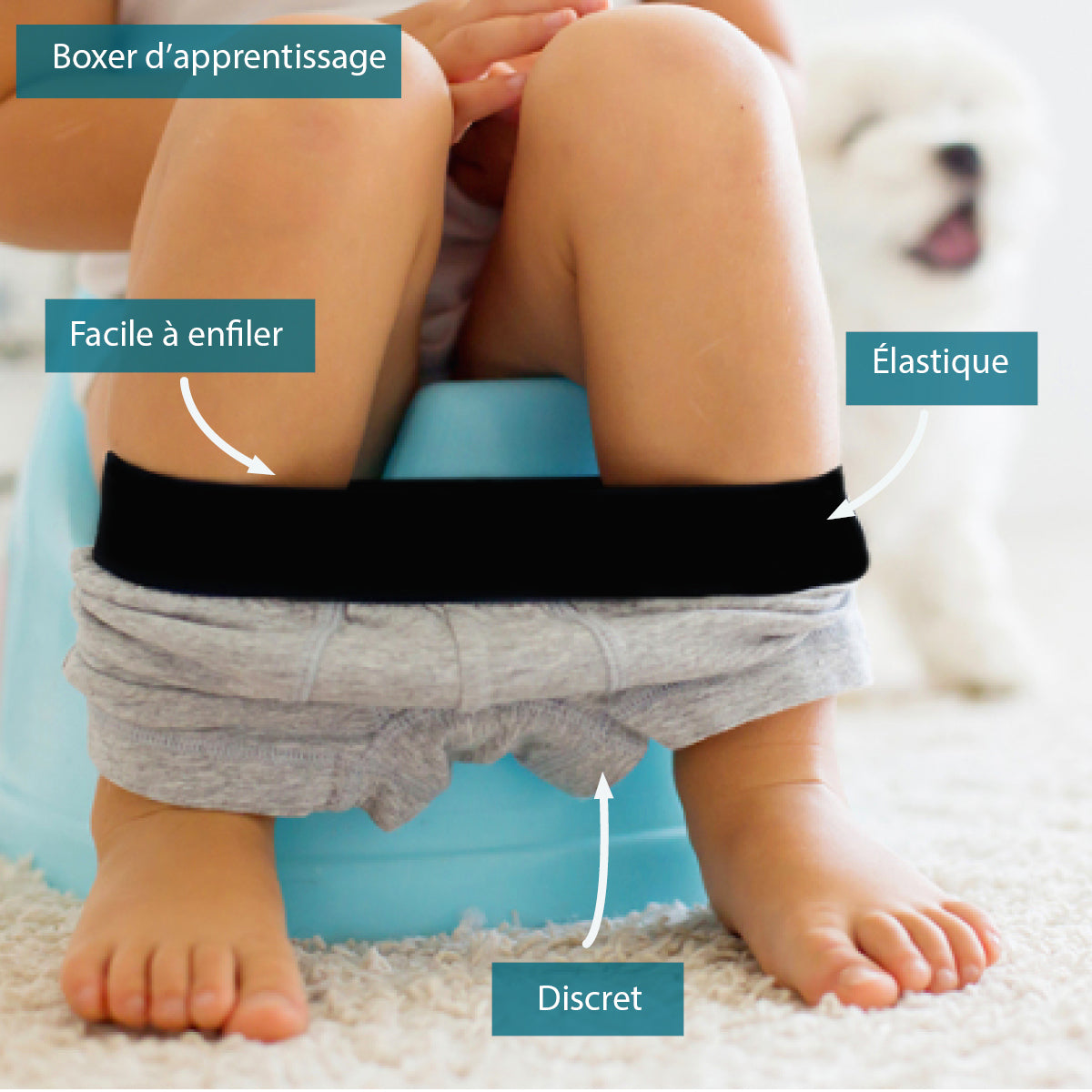 [TikTok] Lot de 4 boxers d'apprentissage de la propreté