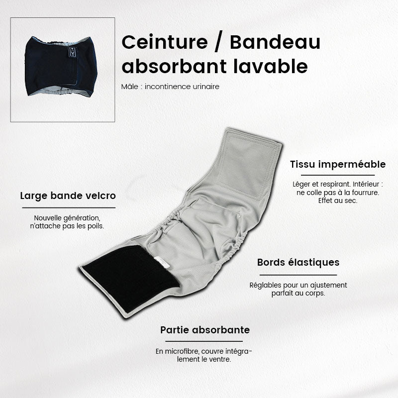 Ceinture absorbante lavable pour mâle (fuite urinaire animaux)