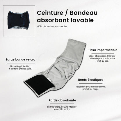 Ceinture absorbante lavable pour mâle (fuite urinaire animaux)