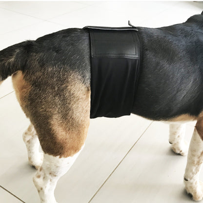Ceinture absorbante lavable pour mâle (fuite urinaire animaux)